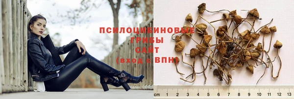 ALPHA PVP Алексин