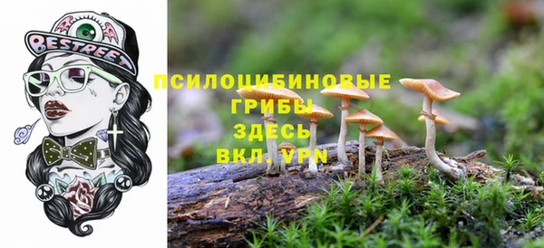 ALPHA PVP Алексин