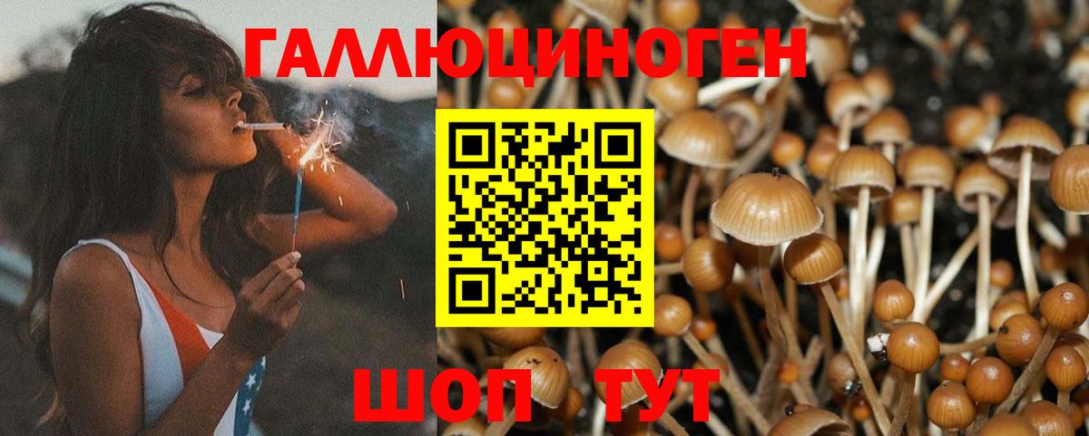 Арзамас  купить закладку  Псилоцибиновые грибы Cubensis  Вход с VPN  Псилоцибиновые грибы GOLDEN TEACHER 