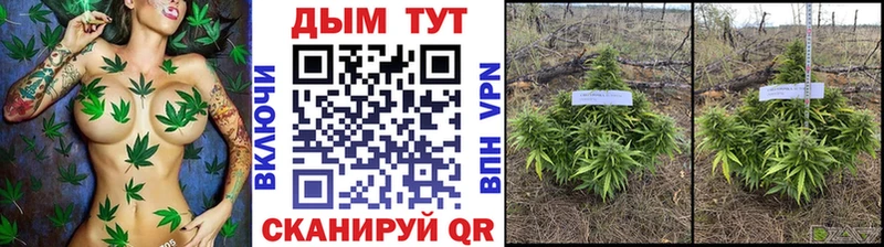 Бошки Шишки тримм  закладка  Арзамас 